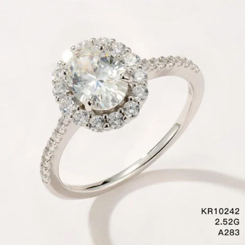 KR10242