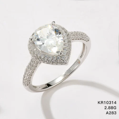 KR10314